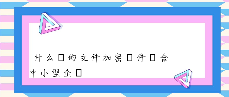 什么樣的文件加密軟件適合中小型企業