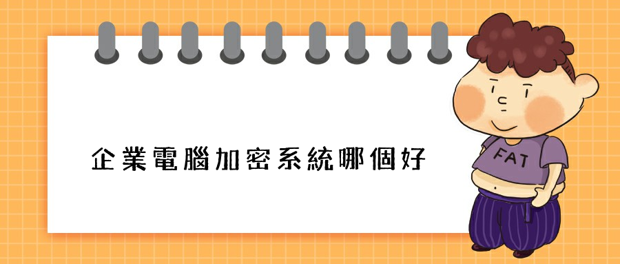 企業電腦加密系統哪個好