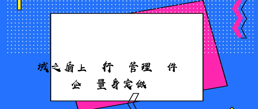 域之盾上網行為管理軟件專門為為企業量身定做