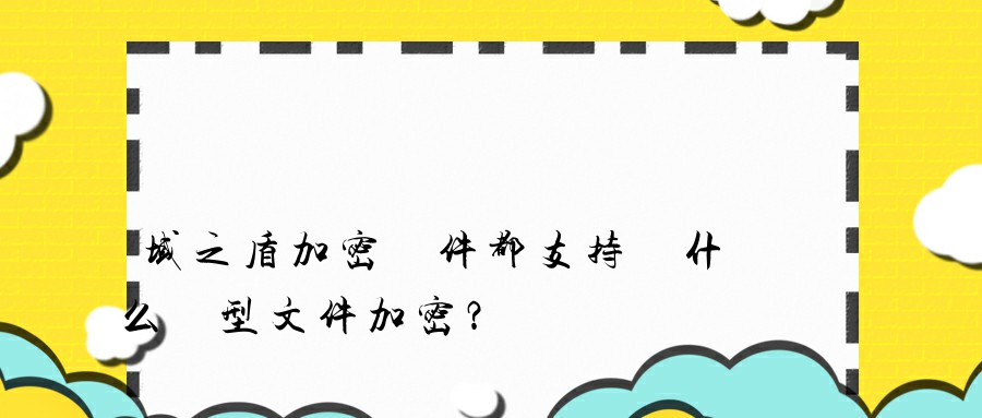 域之盾加密軟件都支持對什么類型文件加密？