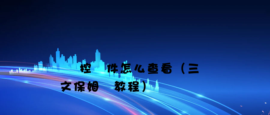 電腦監控軟件怎么查看（三種圖文保姆級教程）